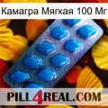 Камагра Мягкая 100 Мг viagra1